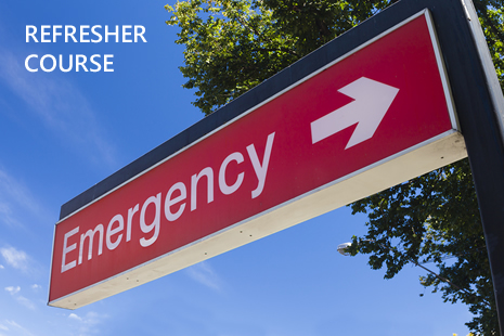 About ASCIA Anaphylaxis refresher training for health professionals